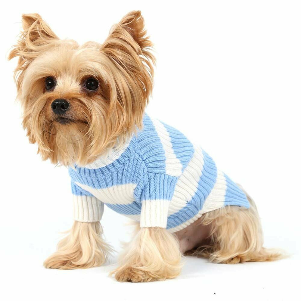 Knitted sweaters for dogs of DoggyDolly W050