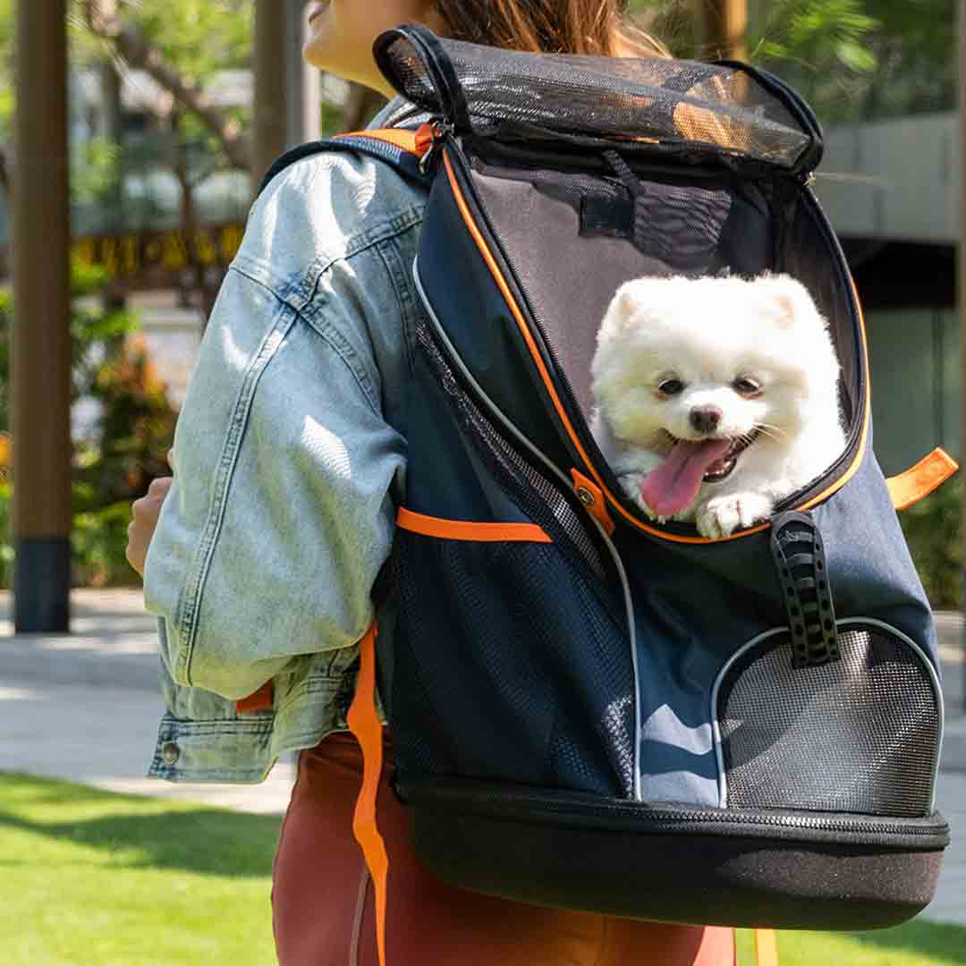 Navy Blue Dog Backpack with Optimal Carrying Comfort