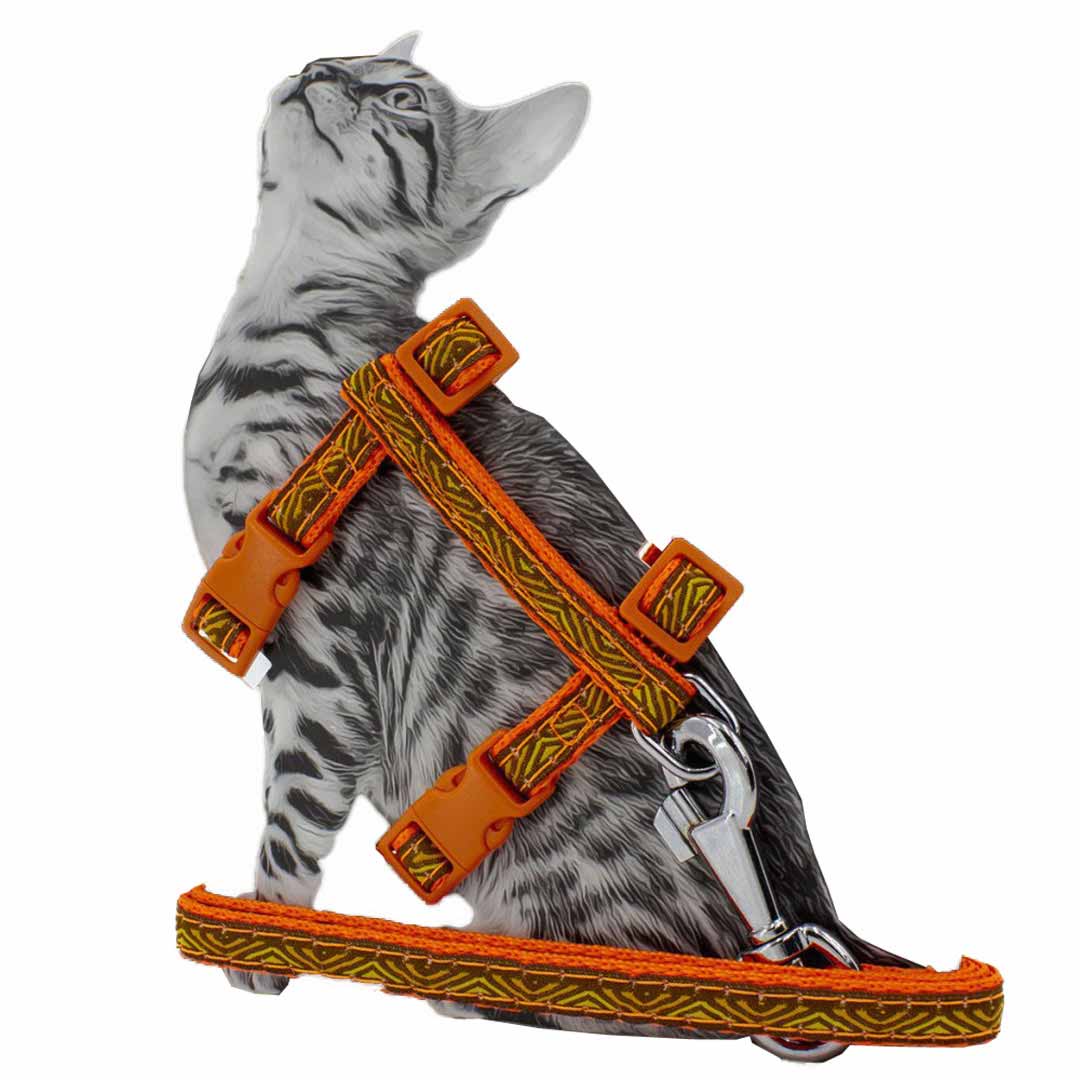 Orange GogiPet cat harness with leash