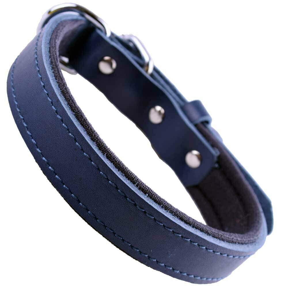 GogiPet® comfort leather dog collar blue with 40 cm