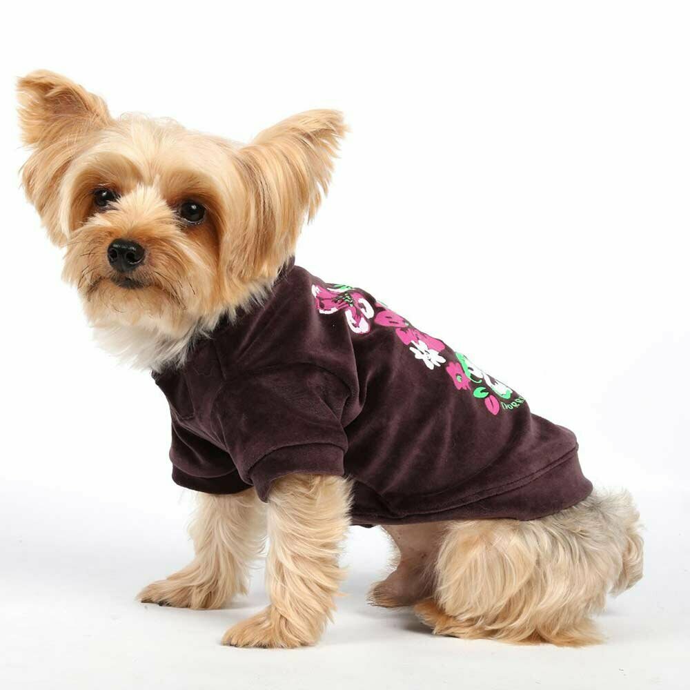 Sweater for dogs - Warm dog garment