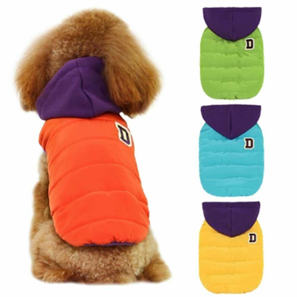 Modern warm dog clothing by GogiPet