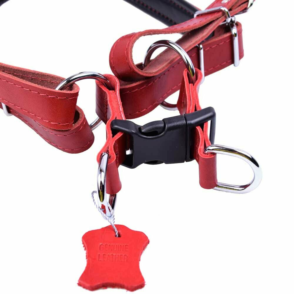 Leather dog harness with quick fastener red