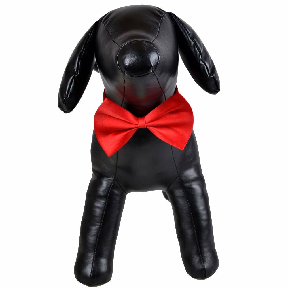 Elegant dog jewelry by GogiPet - dog bow ties and dog ties