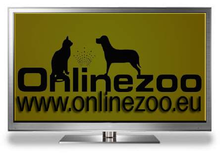 Onlinezoo TV