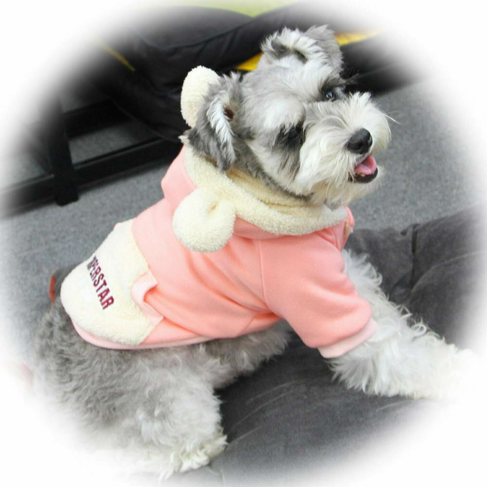 Sweet dog jacket for small dogs