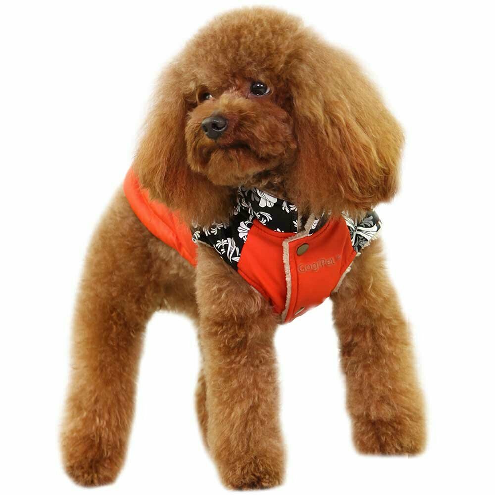 Outdoor dog coat "Nancy" orange by GogiPet