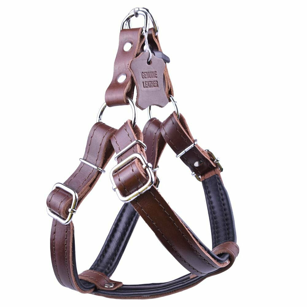 Leather dog harness brown with soft lining by GogiPet
