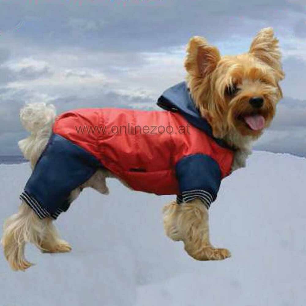 dog snowsuit with 4 legs red and blue by DoggyDolly