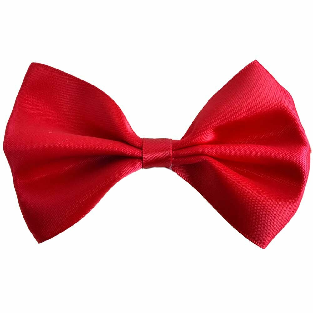 Elegant red bow tie for dogs by GogiPet®.