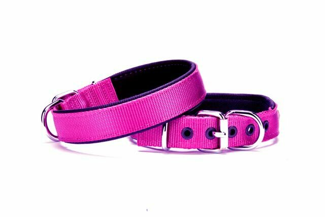 Padded GogiPet® comfort Super Premium dog collar purple