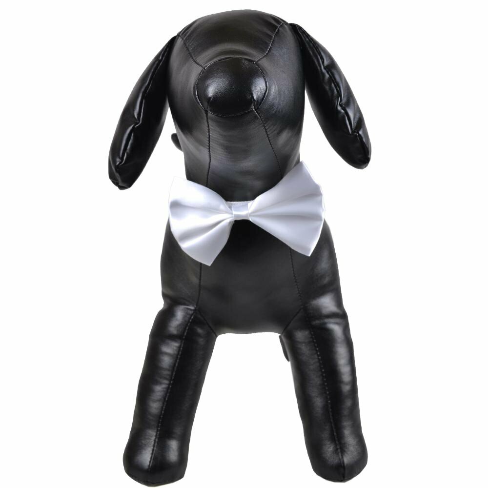 White bow tie for dogs as fast binder