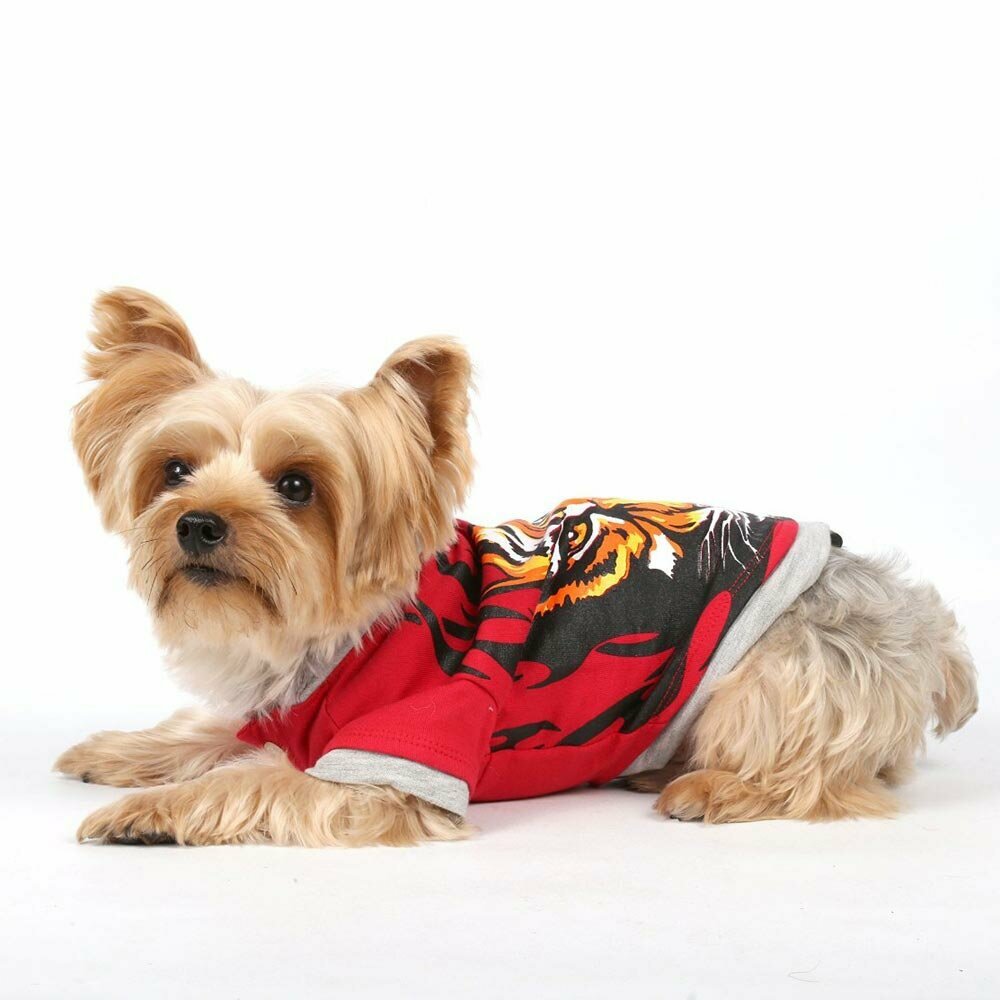 Warm dog clothes by DoggyDolly dog fashions