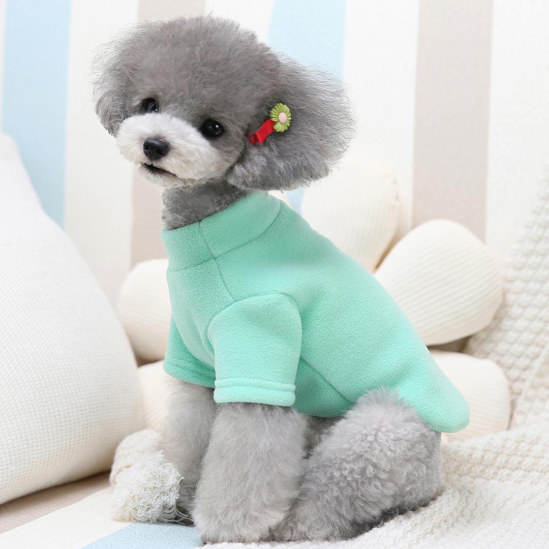 Cosy warm dog pullover - Green teddy jumper