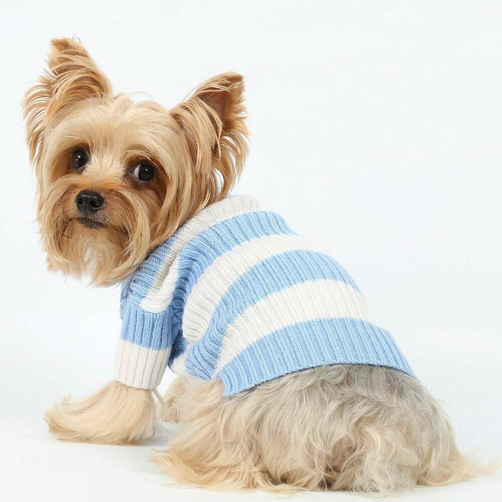 warm dog garb - blue touched dog sweater of DoggyDolly W050