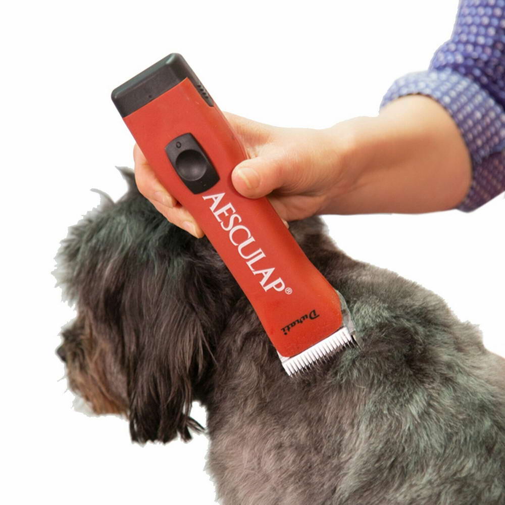 Professional dog clippers for the dog hairdresser