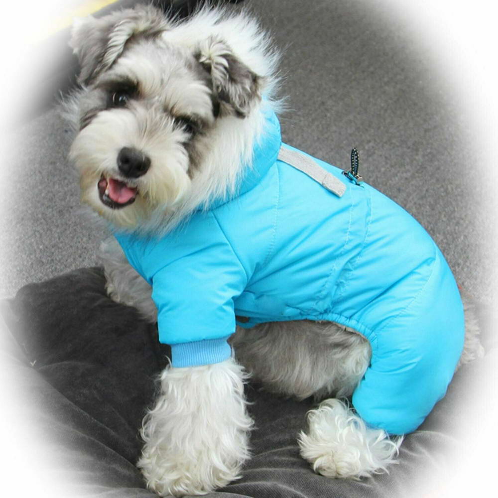 Warm dog clothing - Airforce Light Blue