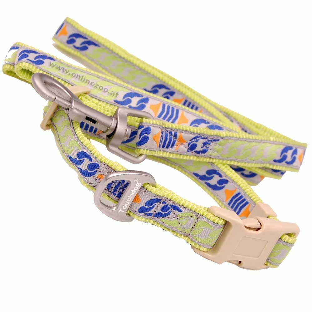 Fashionable leash and dog collar in the favorable set