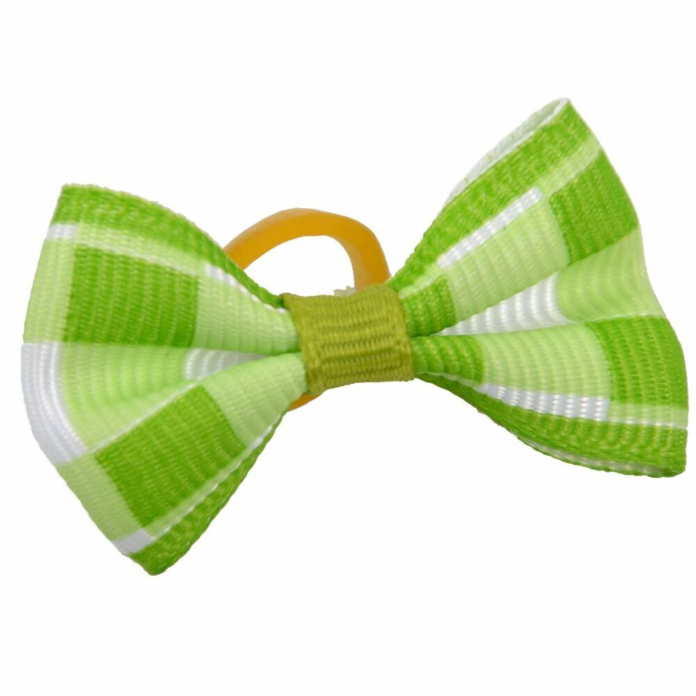 Dog bow with rubber ring - green checkered by GogiPet