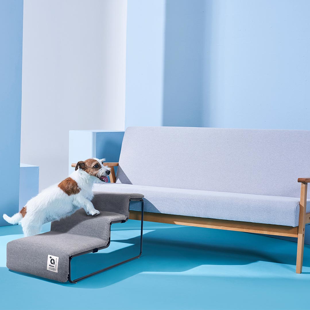 Pet steps for your pets so that they can reach the sofa and the bed without damaging their joints.