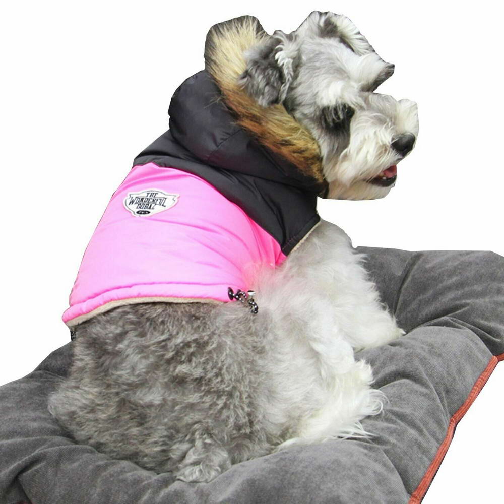 Warm dog clothing for small dogs