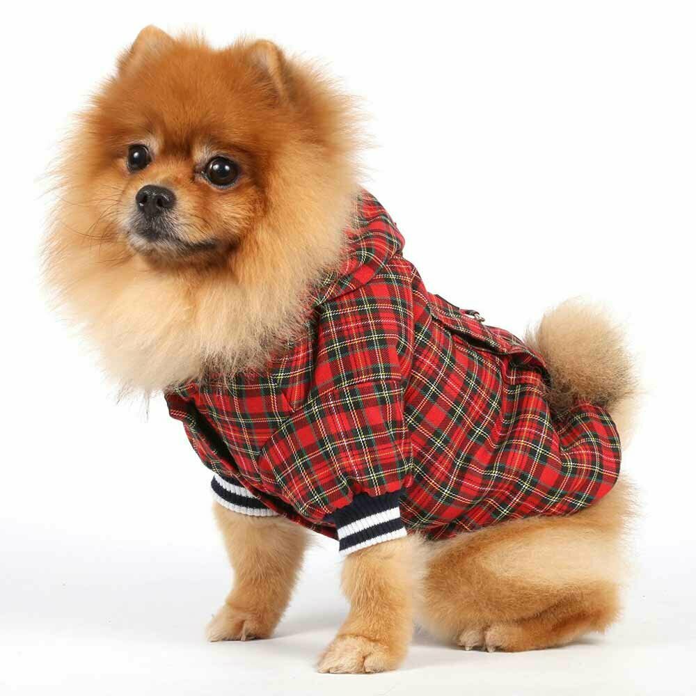 Warm dog jacket checkered red