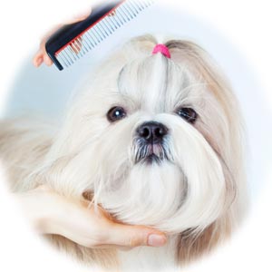 GogiPet Silk Care for dog groomers
