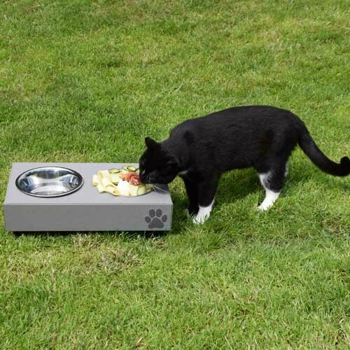 Feeders for cats
