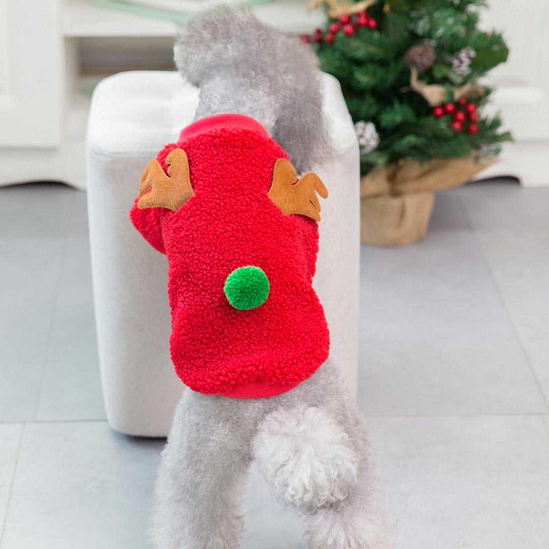 Rudolf dog sweater - Red reindeer sweater
