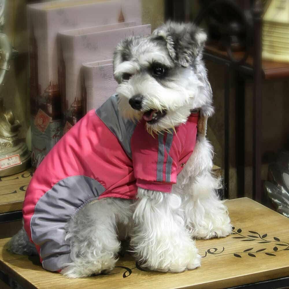 Warm dog winter coat "Karin" Pink