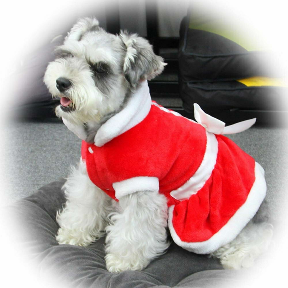 Warm dog clothing for small dogs