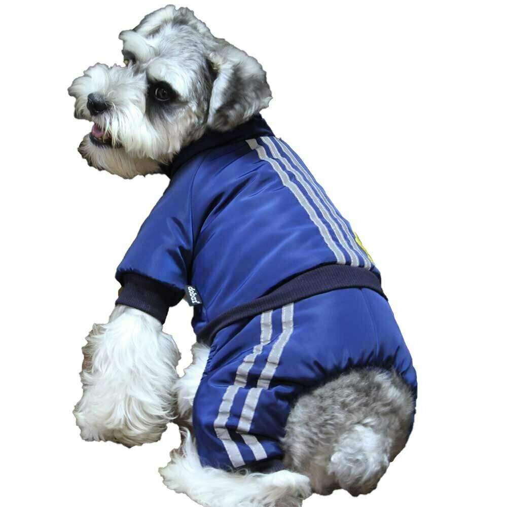 Blue Air Force dog snowsuit from GogiPet