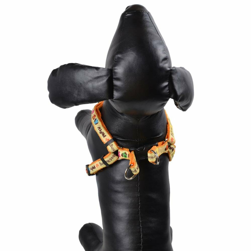 Harness for smaller dogs