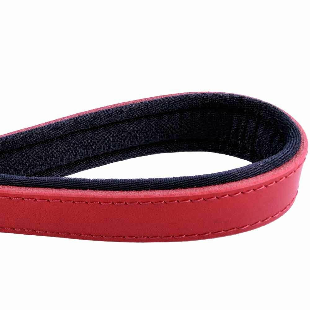 Dog leash with soft padded handle from GogiPet