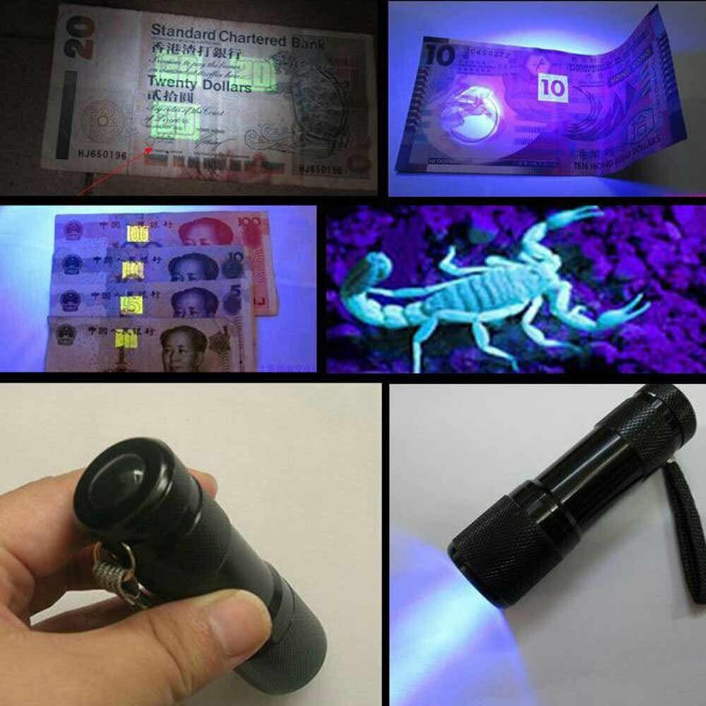 Black light lamp with many application functions