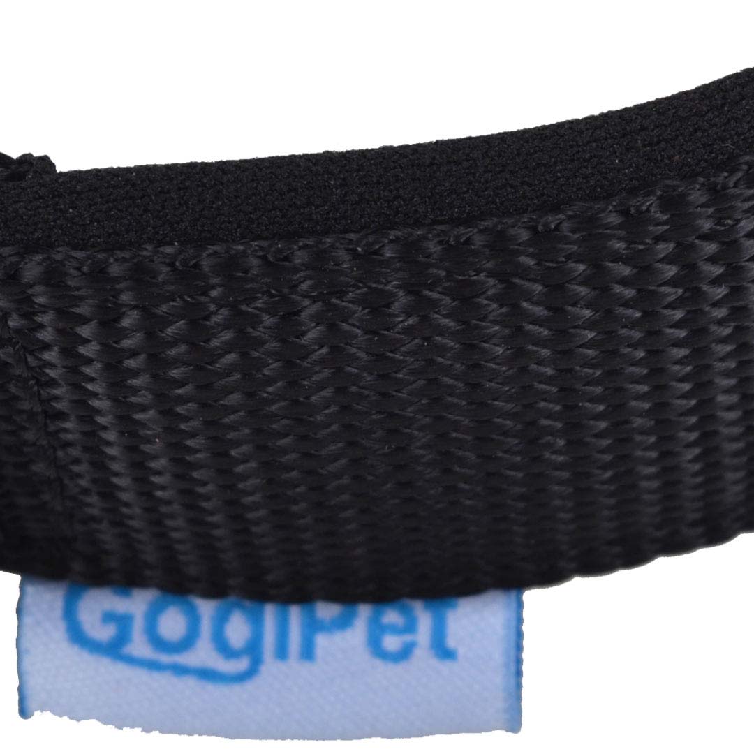 Soft padded dog collar for best wearing comfort