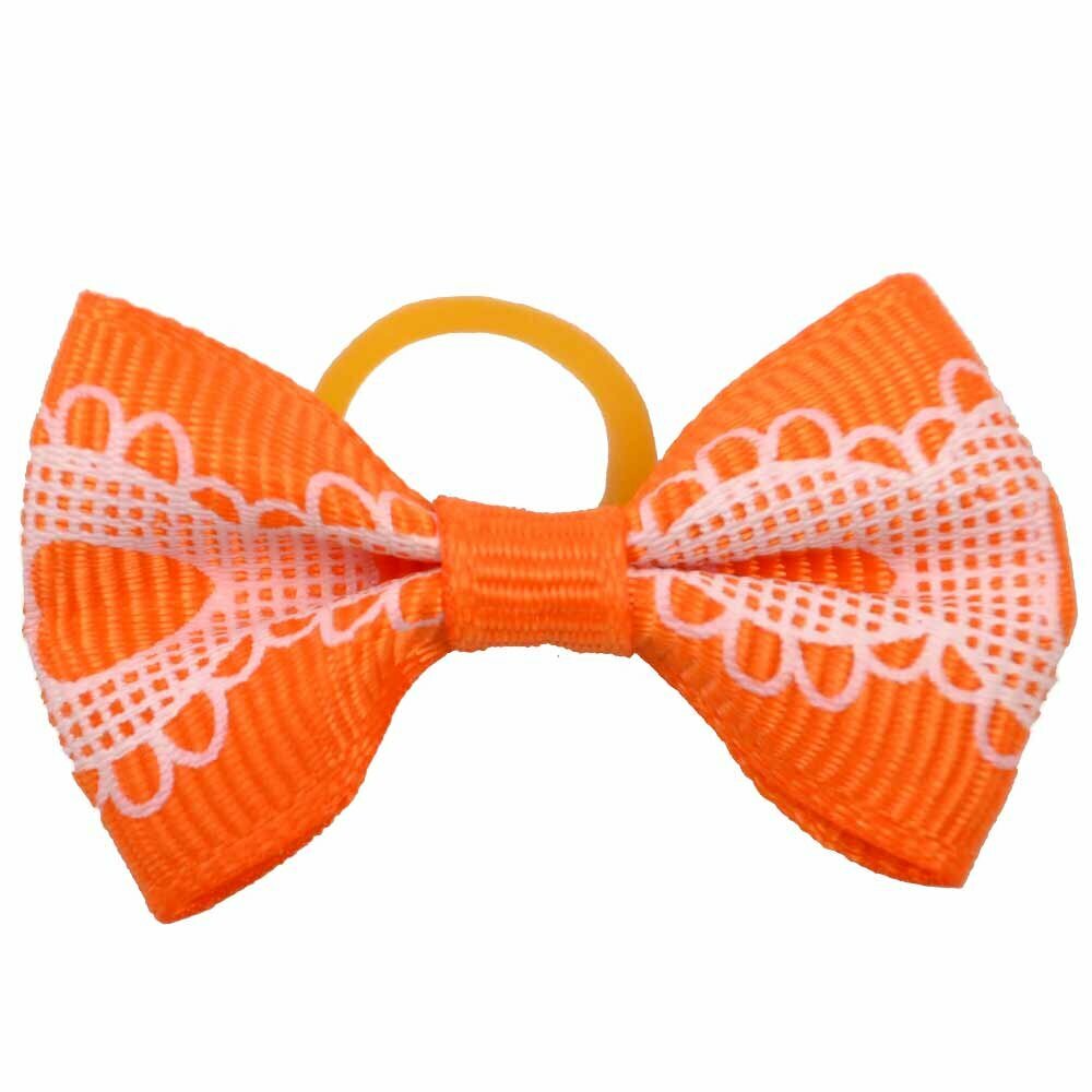 Dog hair bow rubberring "Chiquita orange" by GogiPet