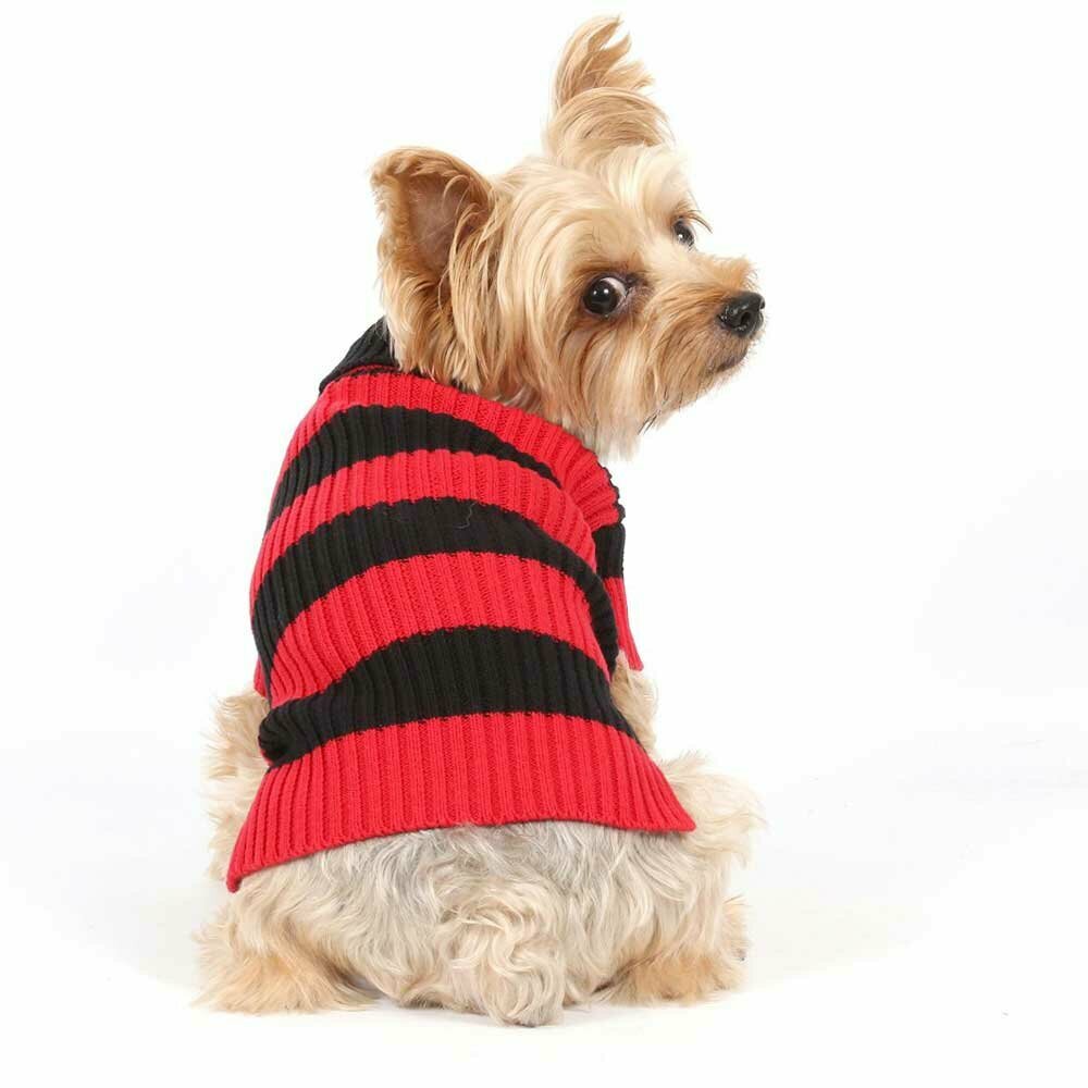 Beautiful red dog sweater for winter