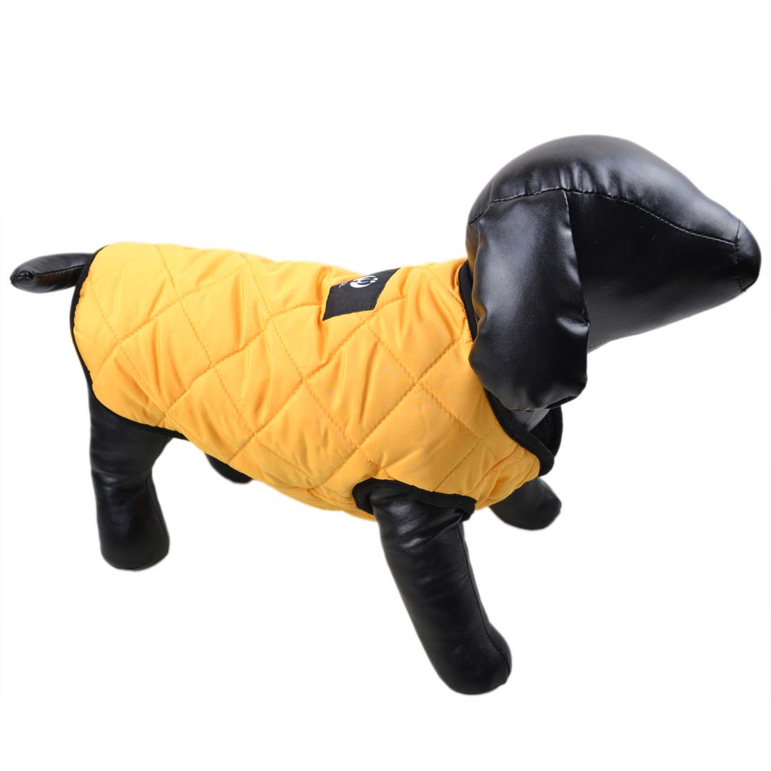 warm lined dog parka - yellow dog anorak
