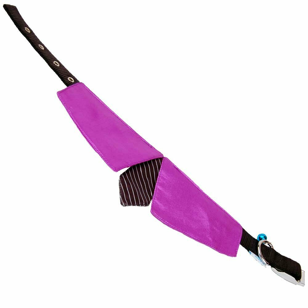 Dog collar with tie violet black - GogiPet ® collar collar L  