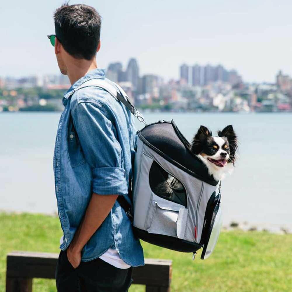 High quality dog backpack with large viewing window