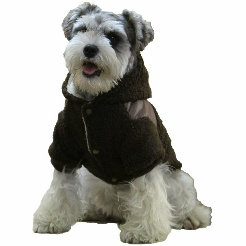 Warm winter coat for dogs brown
