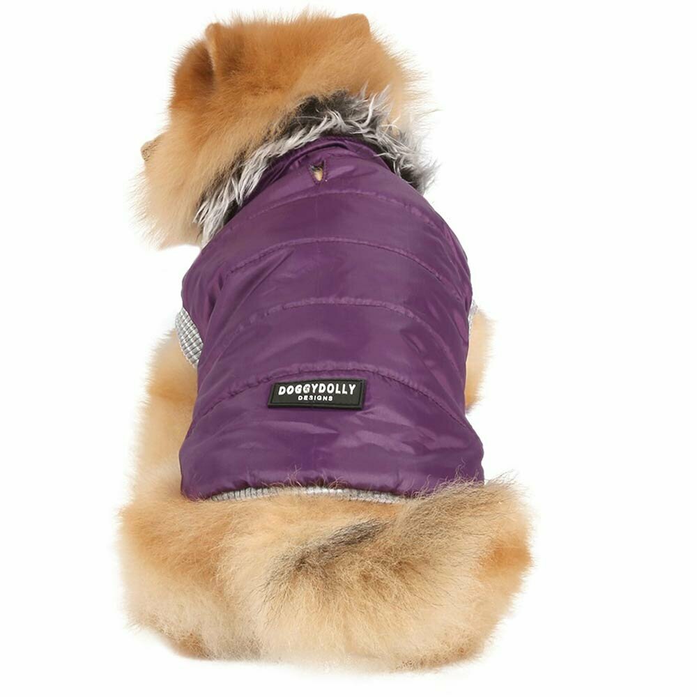 parka for dogs purple from the cold