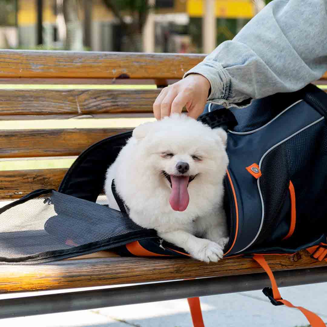 Dog backpack with protected resting place