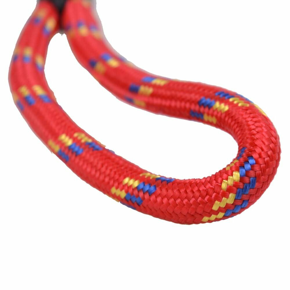 Tear-resistant dog leash from mountaineering rope red