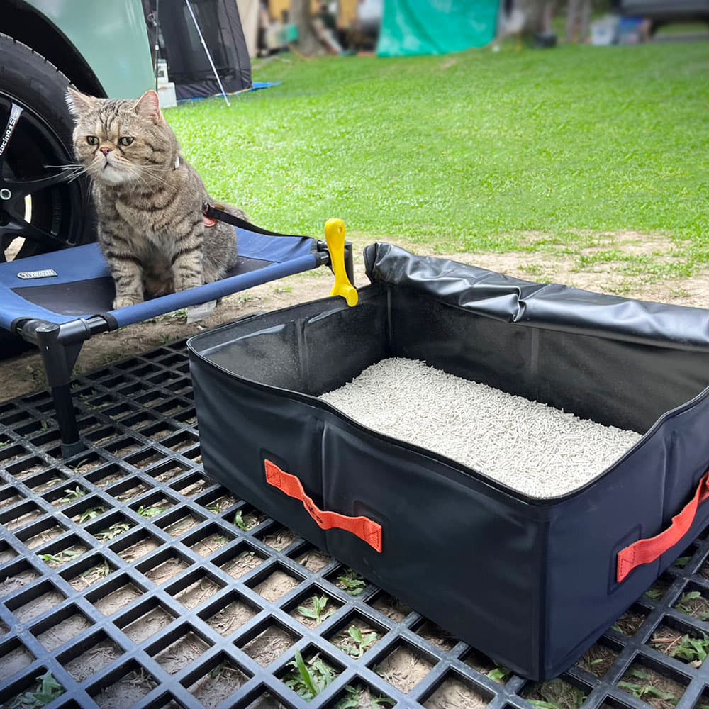 Cat litter box for travel
