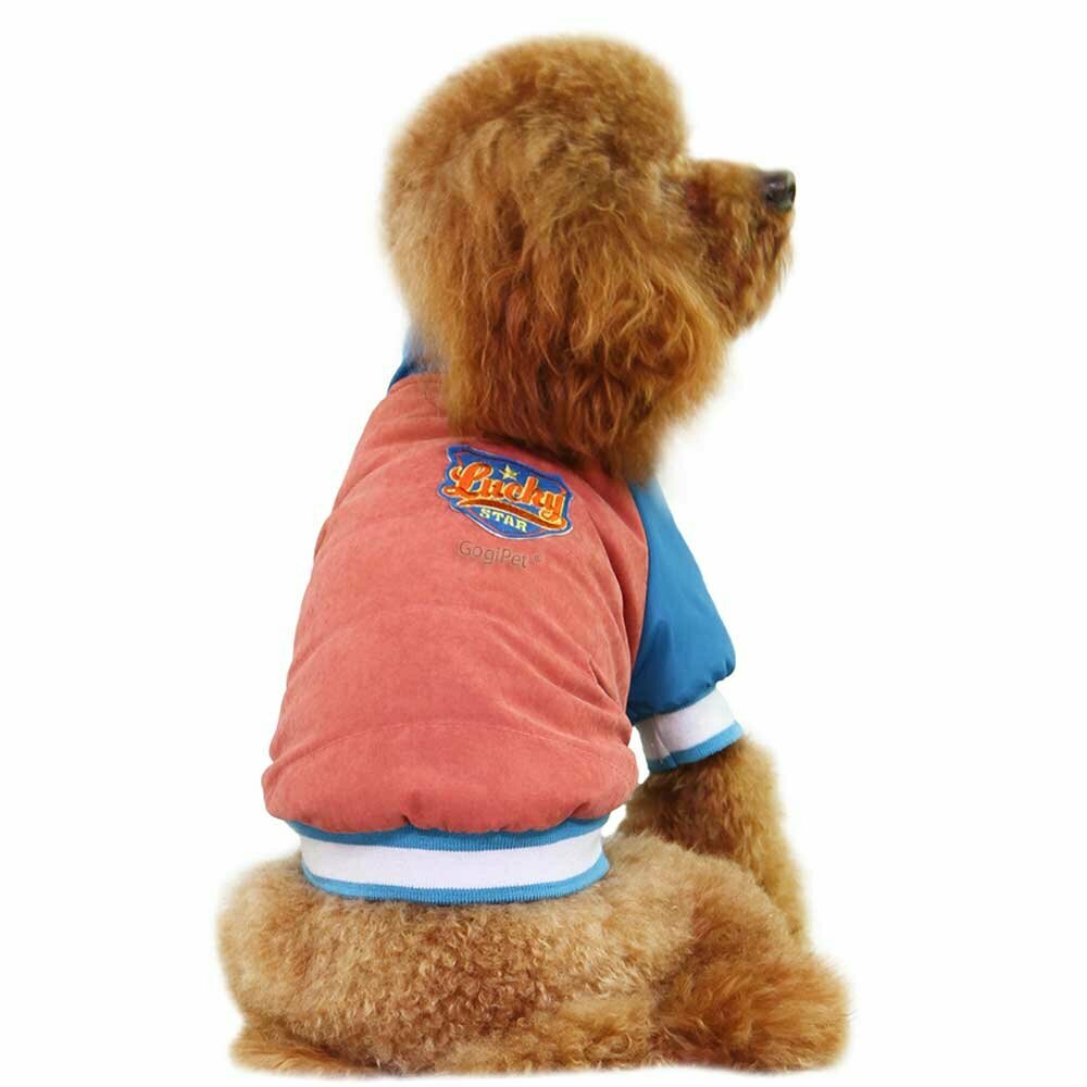 Warm dog jacket - red sports jacket for dogs for the winter