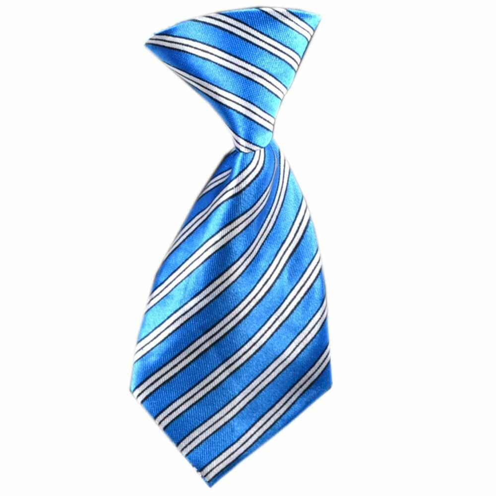 Dog tie blue, gray striped