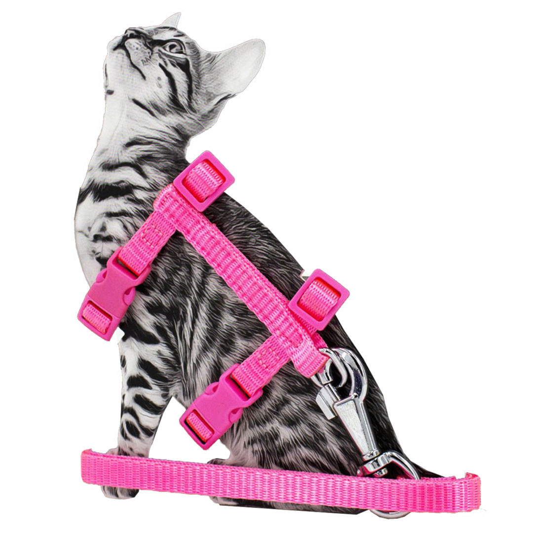 Rosa Super Premium cat harness with leash