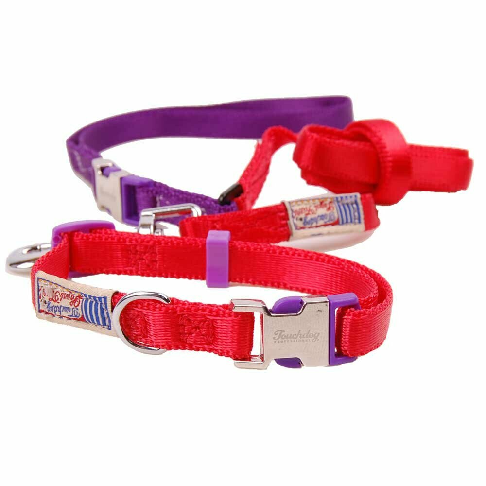 Fabric dog leash red with dog collar in the set